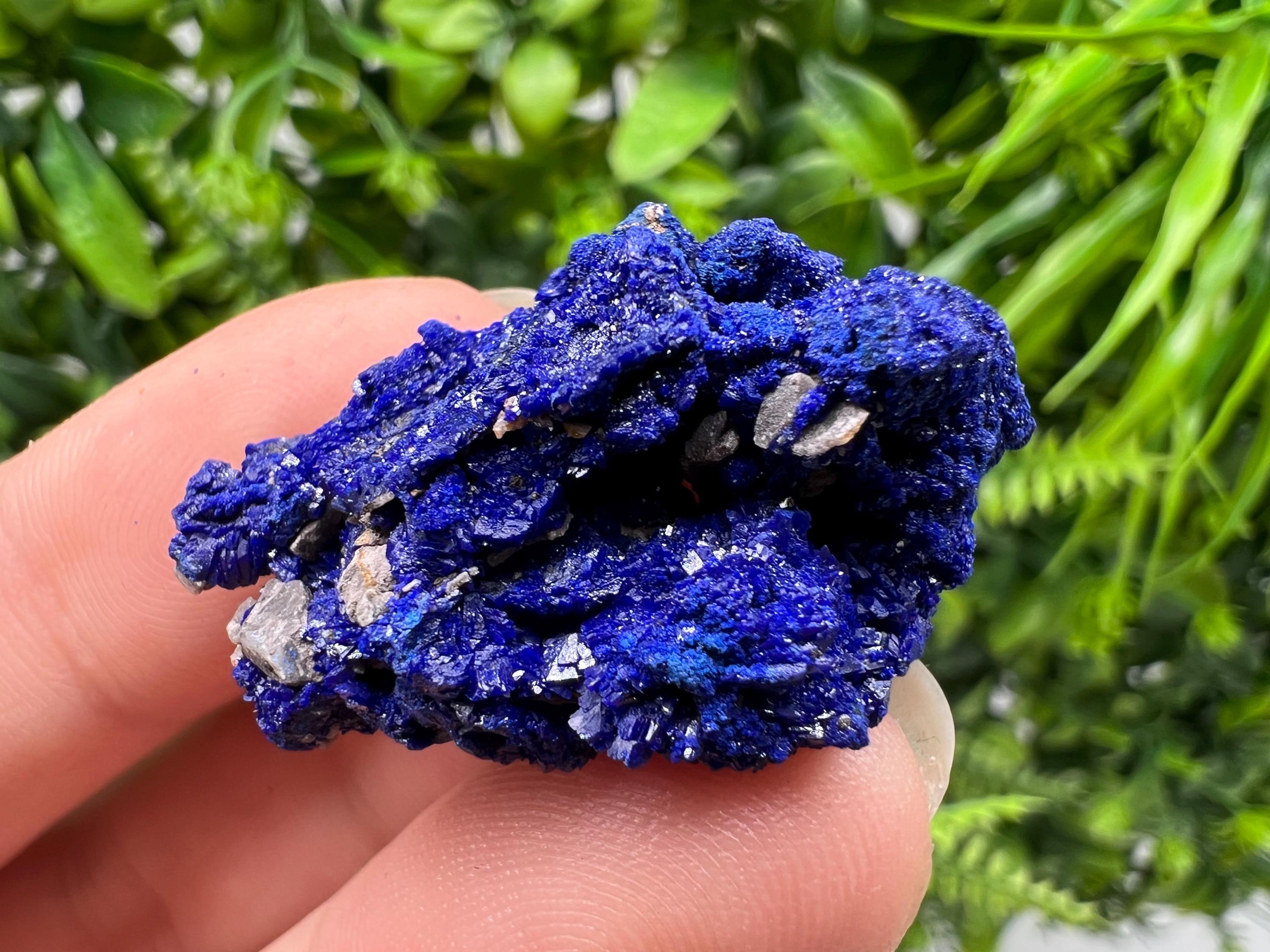Crystallized Azurite-Kerrouchen,Morocco-Blue Azurite Specimen-High Quality Blue Azurite-Azurite Mineral Specimen, gemmy,lustrous of Azurite