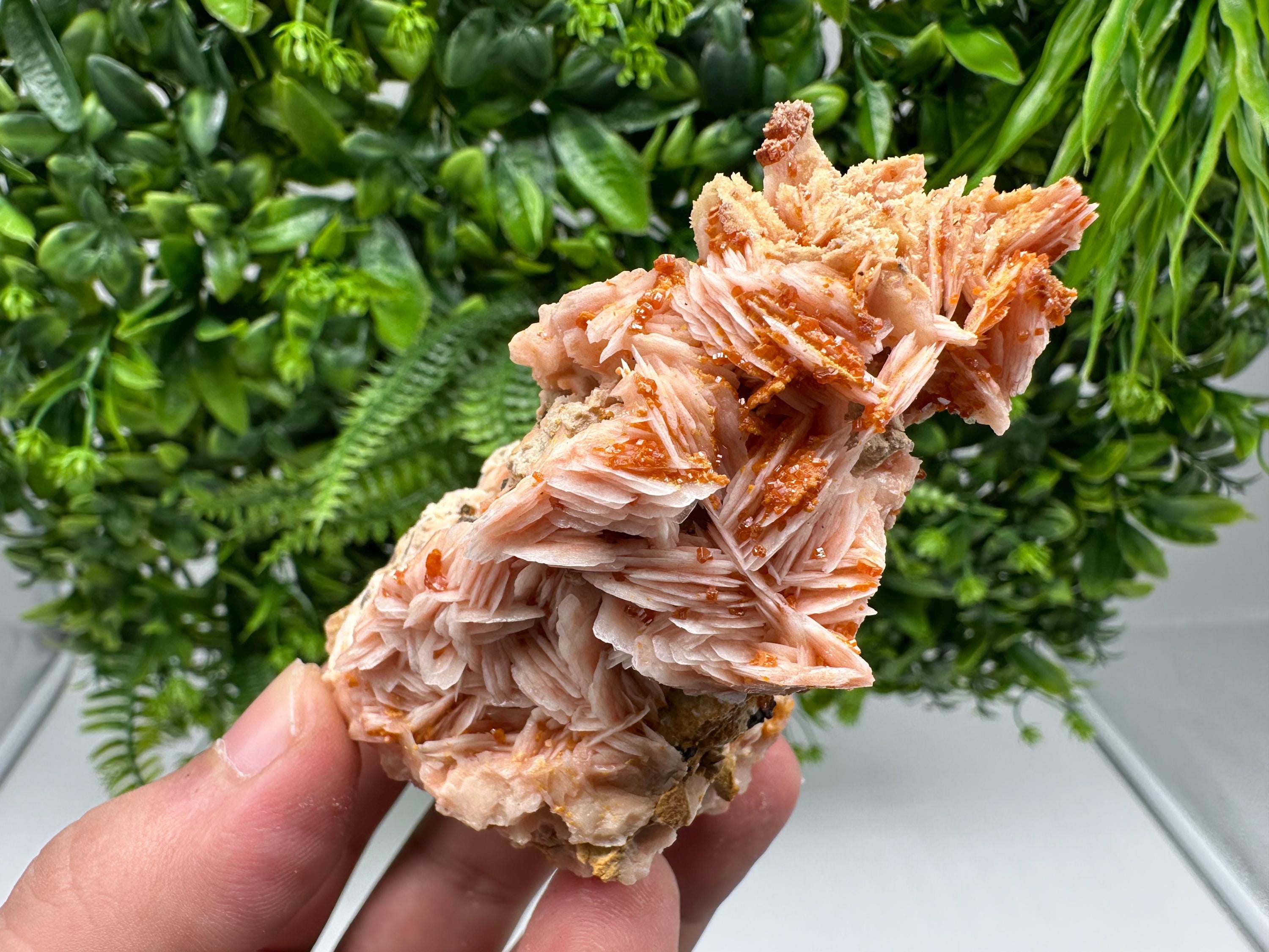 Red Vanadinite on Barite from Marocco,crystal minerals Speciment cluster Vanadinite crystal Vanadinite Geology Vanadinite cluster minerals