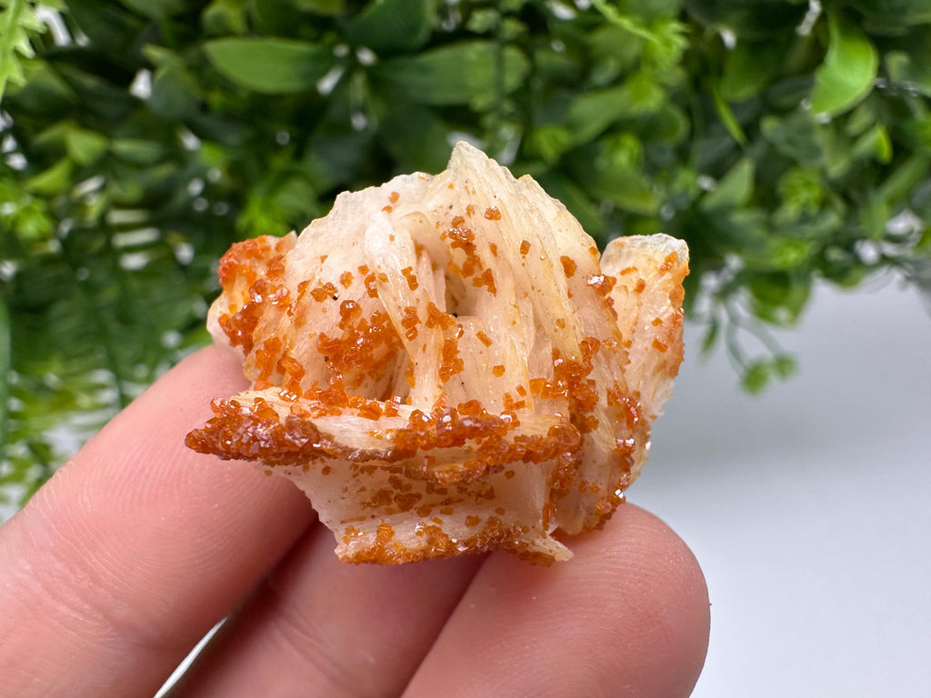 Red Vanadinite on Barite, Moroccan Crystal Cluster