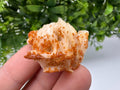 Red Vanadinite on Barite, Moroccan Crystal Cluster