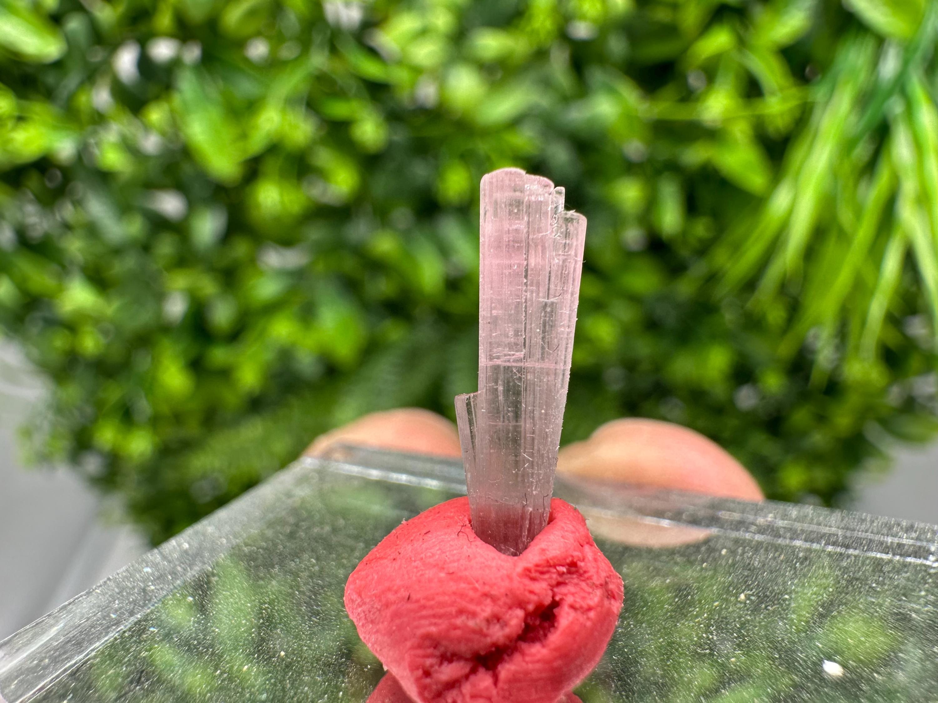 Rare Pink and Green Tourmaline Pencil - 15mm
