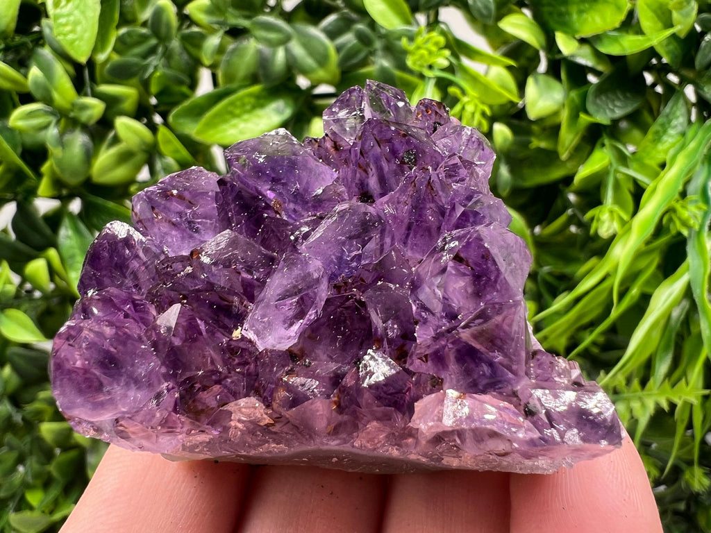 Uruguay Amethyst Crystal: Purple Quartz Phantom - Home Decor