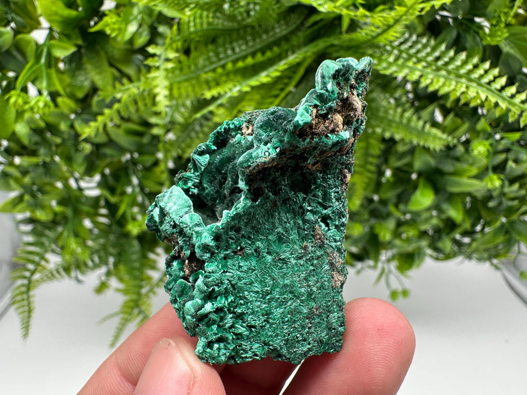 Green Polished Malachite Crystal, Congo Mineral Specimen