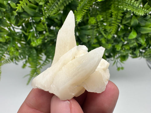 Calcite on Aragonite: Djurcovo Mine, Bulgaria Crystal