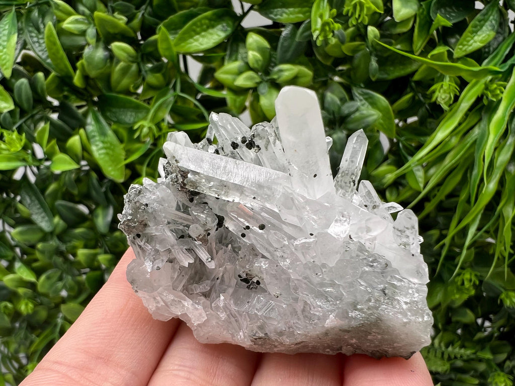 Stunning Transparent Quartz,from Borieva mine,natural collection mineral specimen rare crystal,home decor crystal,quartz cluster,Quartz,gift