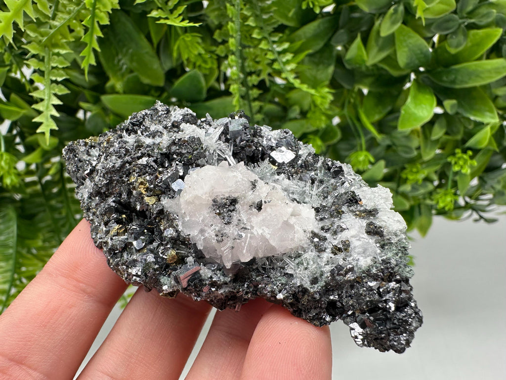 Pyrite on Green Quartz Specimen, Borieva Mine, Bulgaria