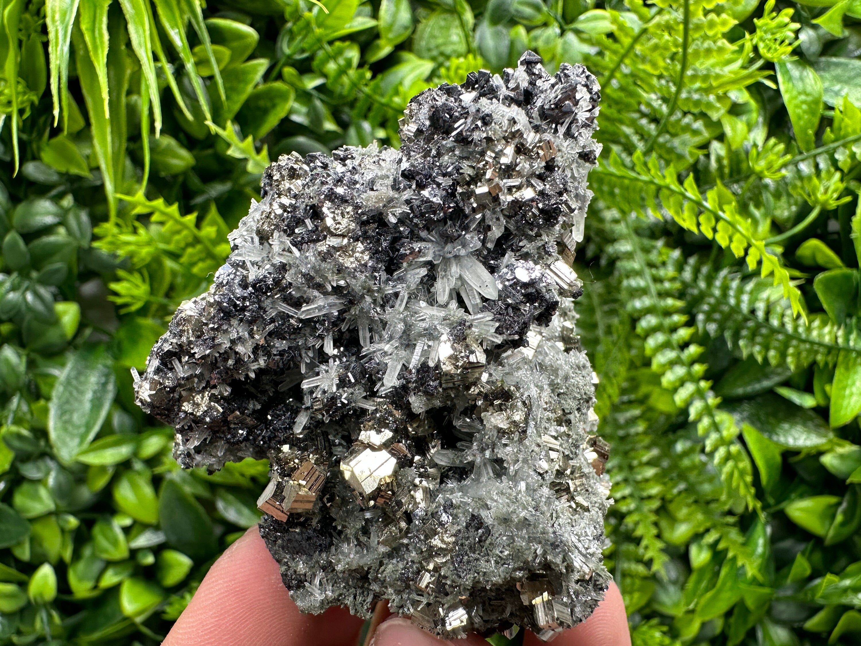 Pyrite on Quartz with Chlorite, Natural Crystal Decor, Borieva Bulgaria