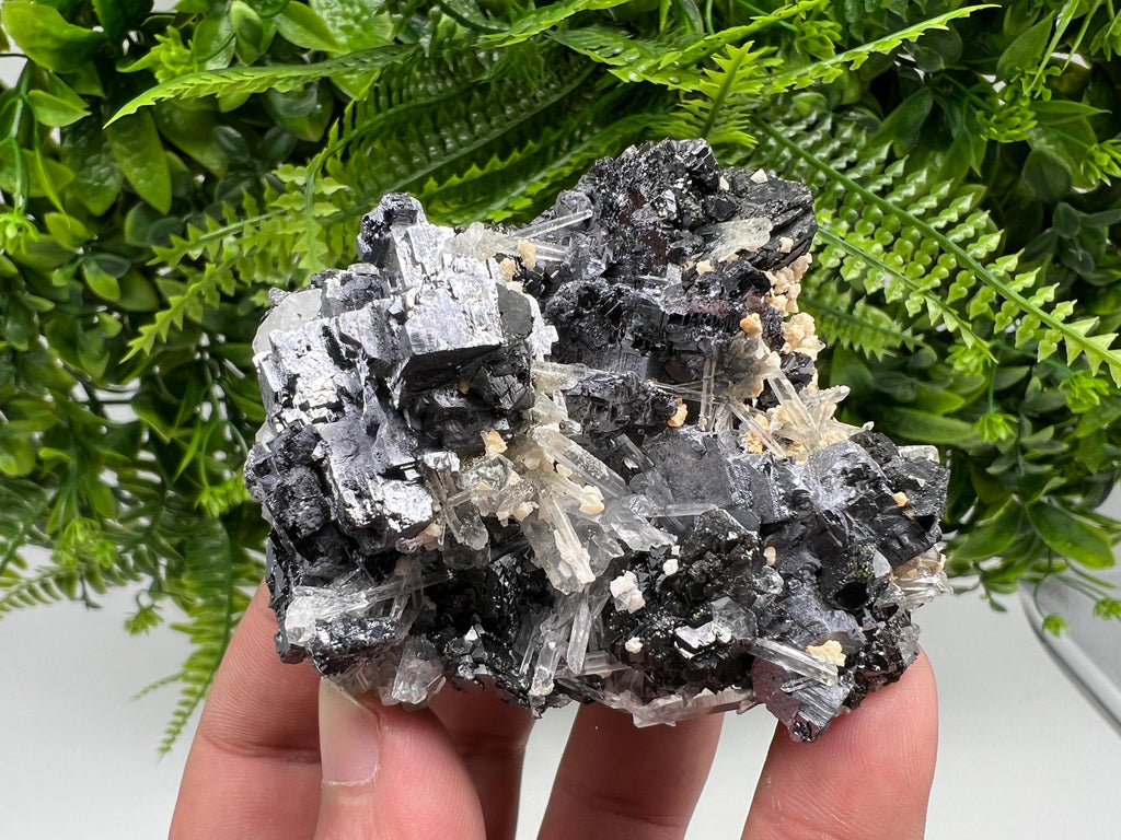 Galena Sphalerite Quartz Mineral Specimen, Krushev dol Mine, Bulgaria
