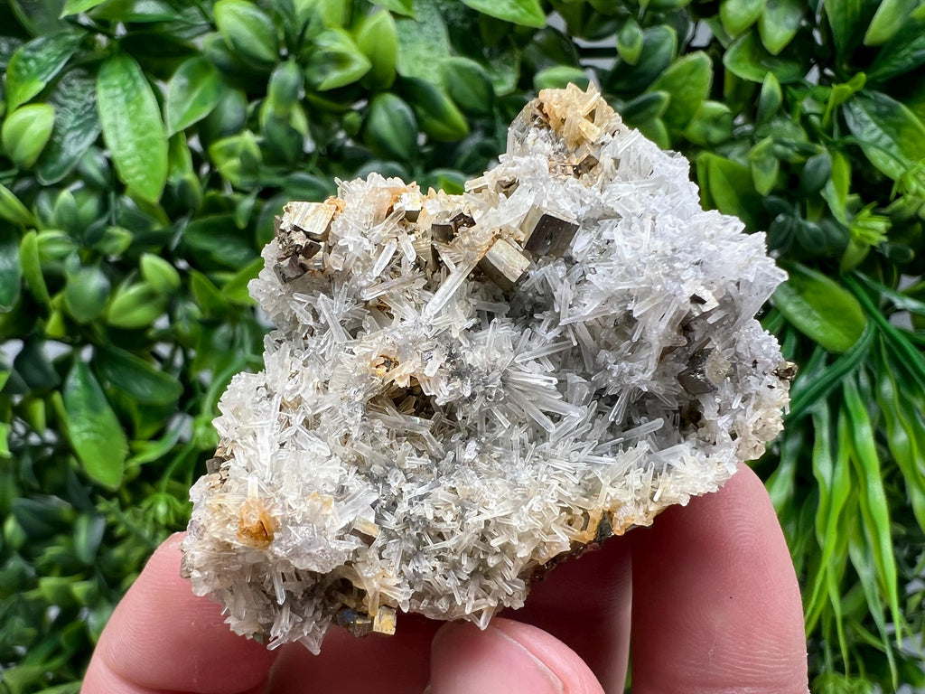Rainbow Pyrite on Quartz with Oxide, Natural Minerals, Bulgaria