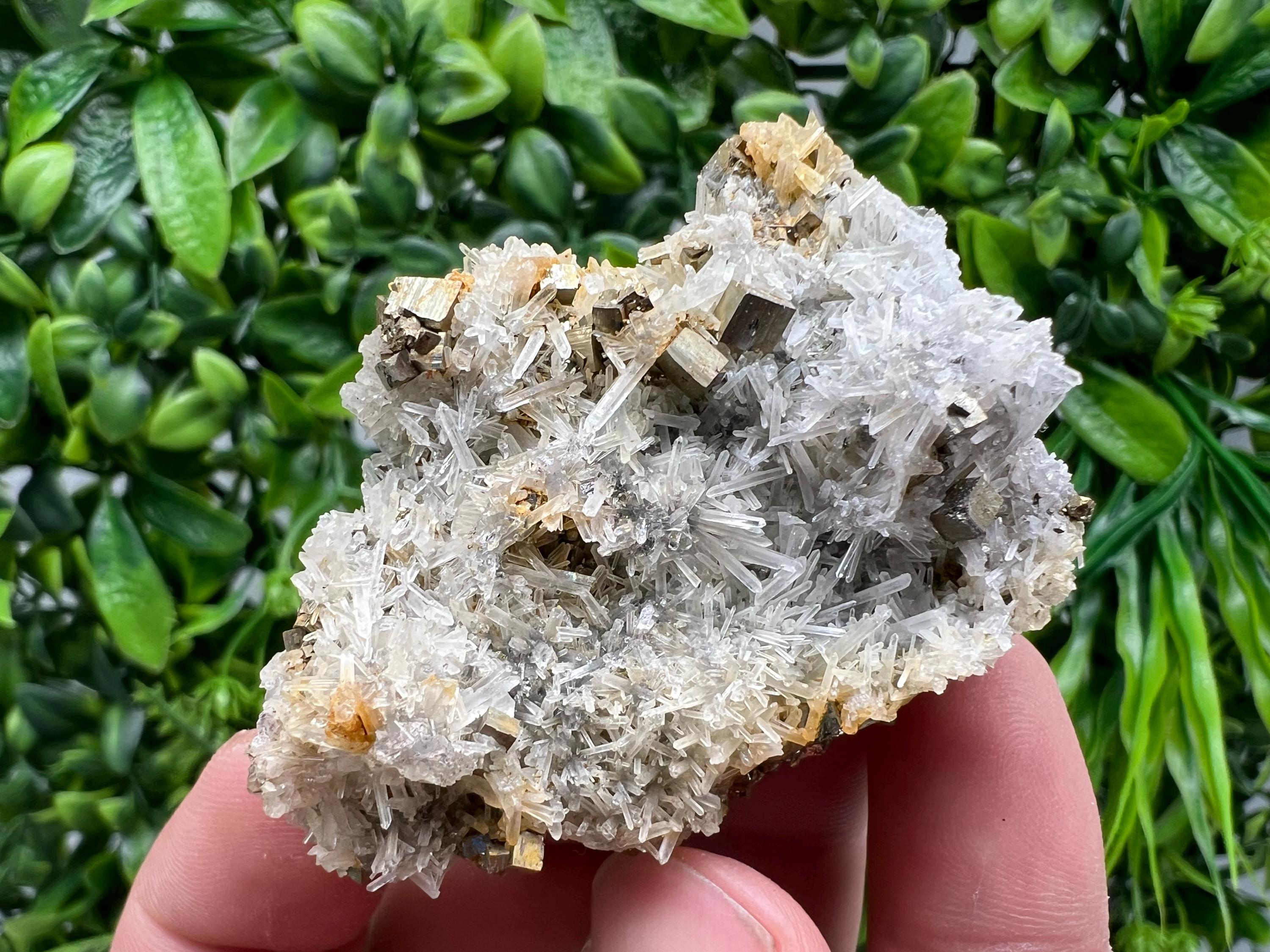 Rainbow Pyrite on Quartz with Oxide, Natural Minerals, Bulgaria