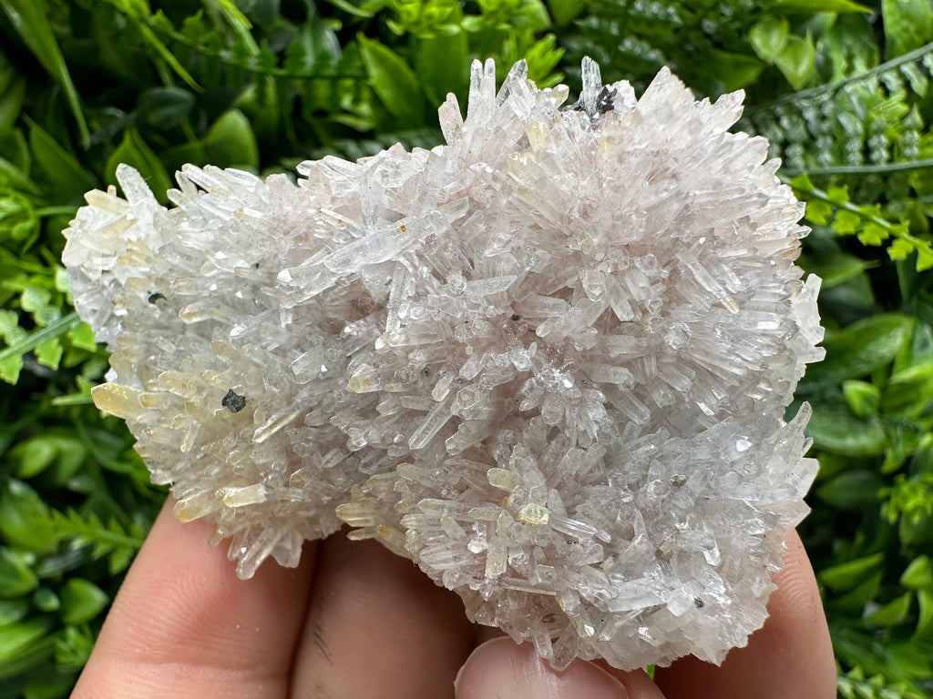 Quartz with Chlorite and Hematite Inclusions: Borieva Mine Crystal Decor