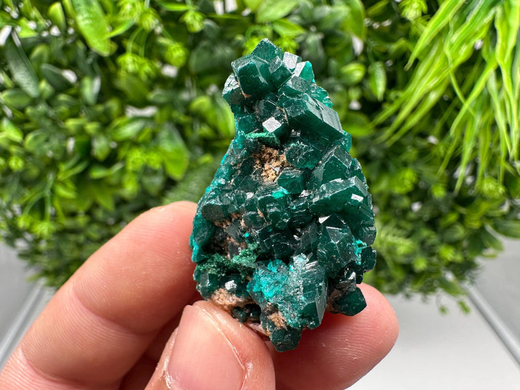 Stunning Green Dioptase from Sanda Hills,Mindouli,Pool Department,Mindouli District,Congo,green Dioptase,Dioptas Crystal,Dioptase collecting