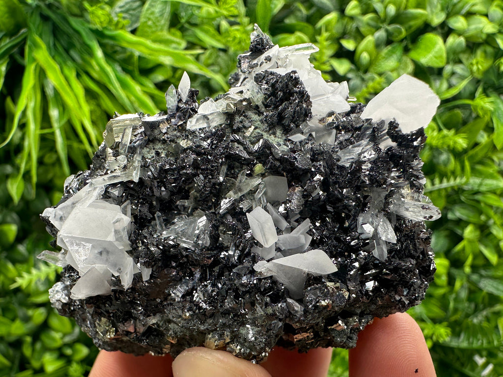Pyrite Calcite on Sphalerite with Quartz, Borieva Mine Mineral Specimen