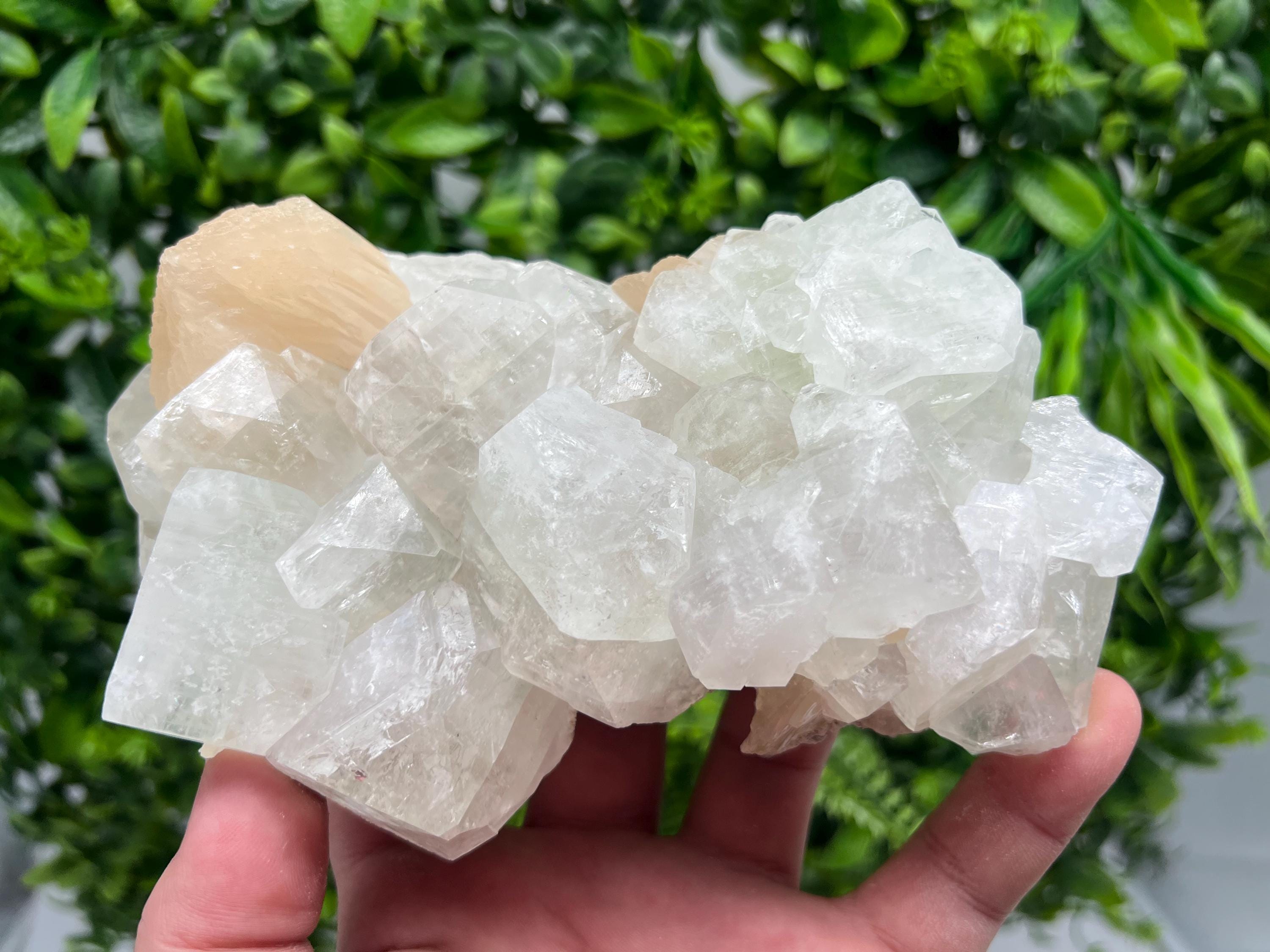 EXSTA Large Apophyllite,Stilbite on Chalcedony,natural,collection mineral specimen,India Mineral,Crystal,Stone Mineral Specimen IndiaCrystal