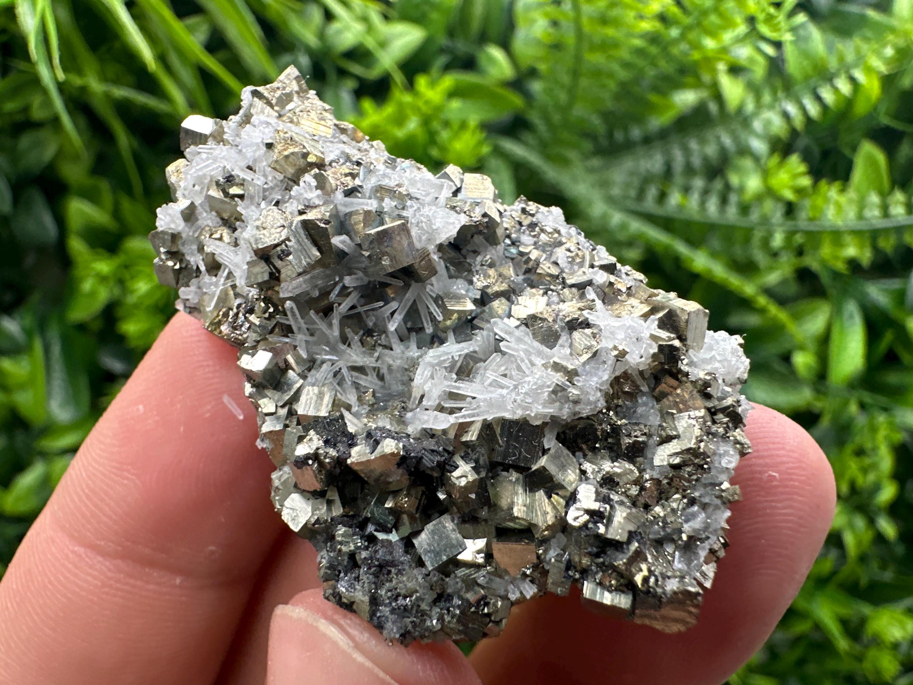 Quartz with Pyrite Specimen: Borieva Mine Crystal Decor (5/3.5 cm)