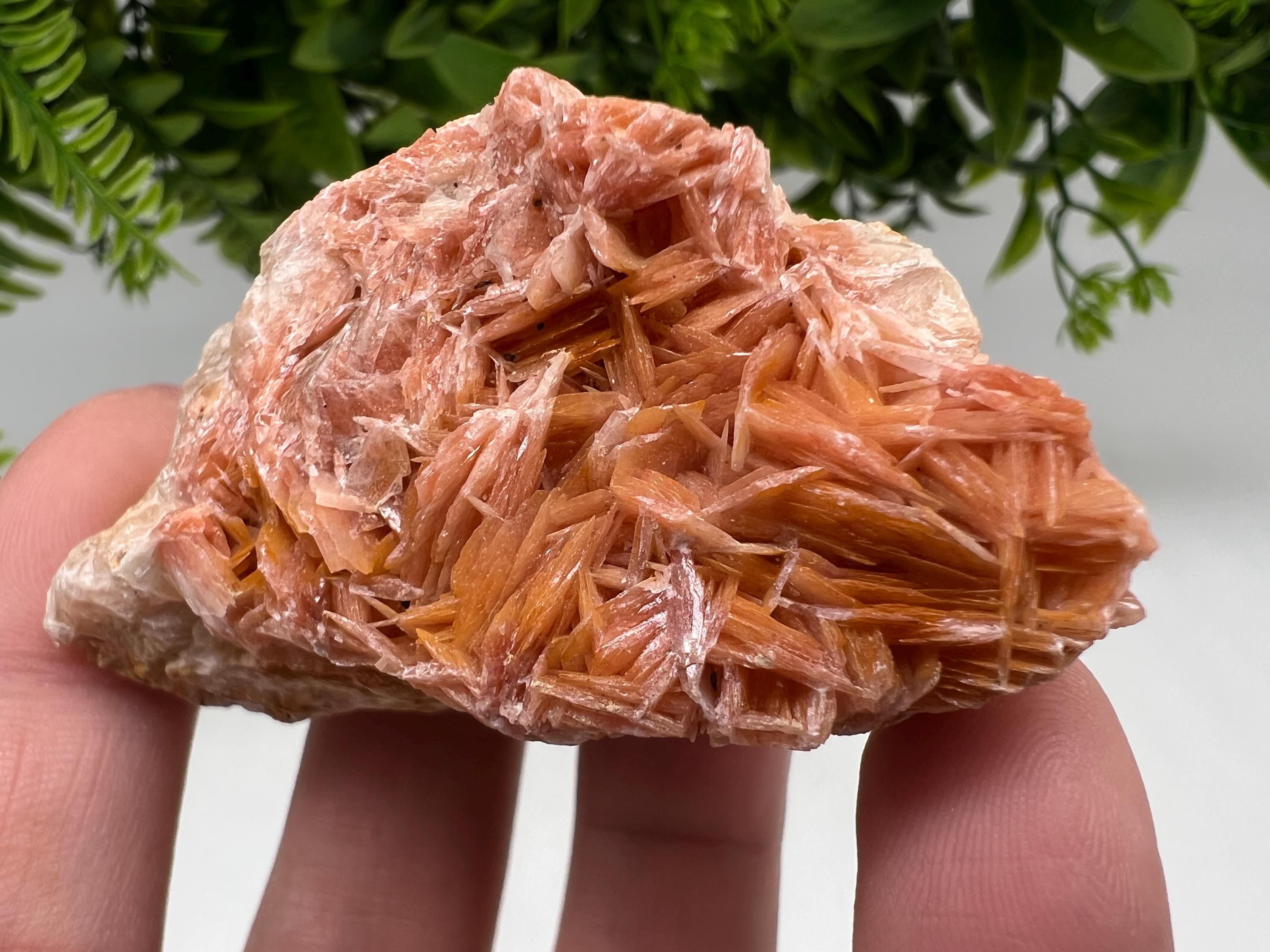 Wonderful Baryte with Cerussite on Galena from Morocco,Crystal, Mineral,Specimen,Cluster,Crystals,Barite Crystal,Cerussite Crystal,Specimen