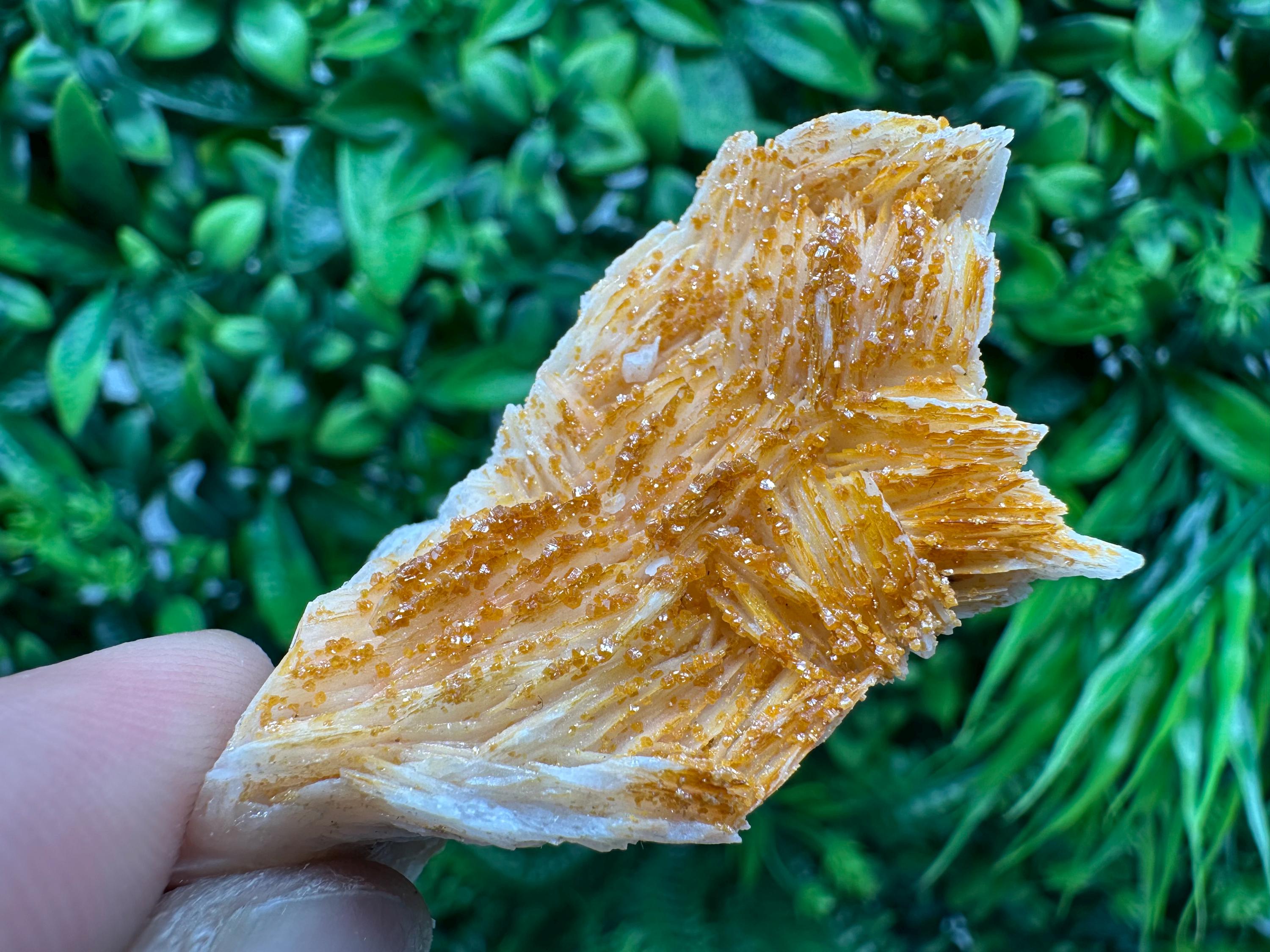 Red Vanadinite on Barite, Morocco Crystal Specimen