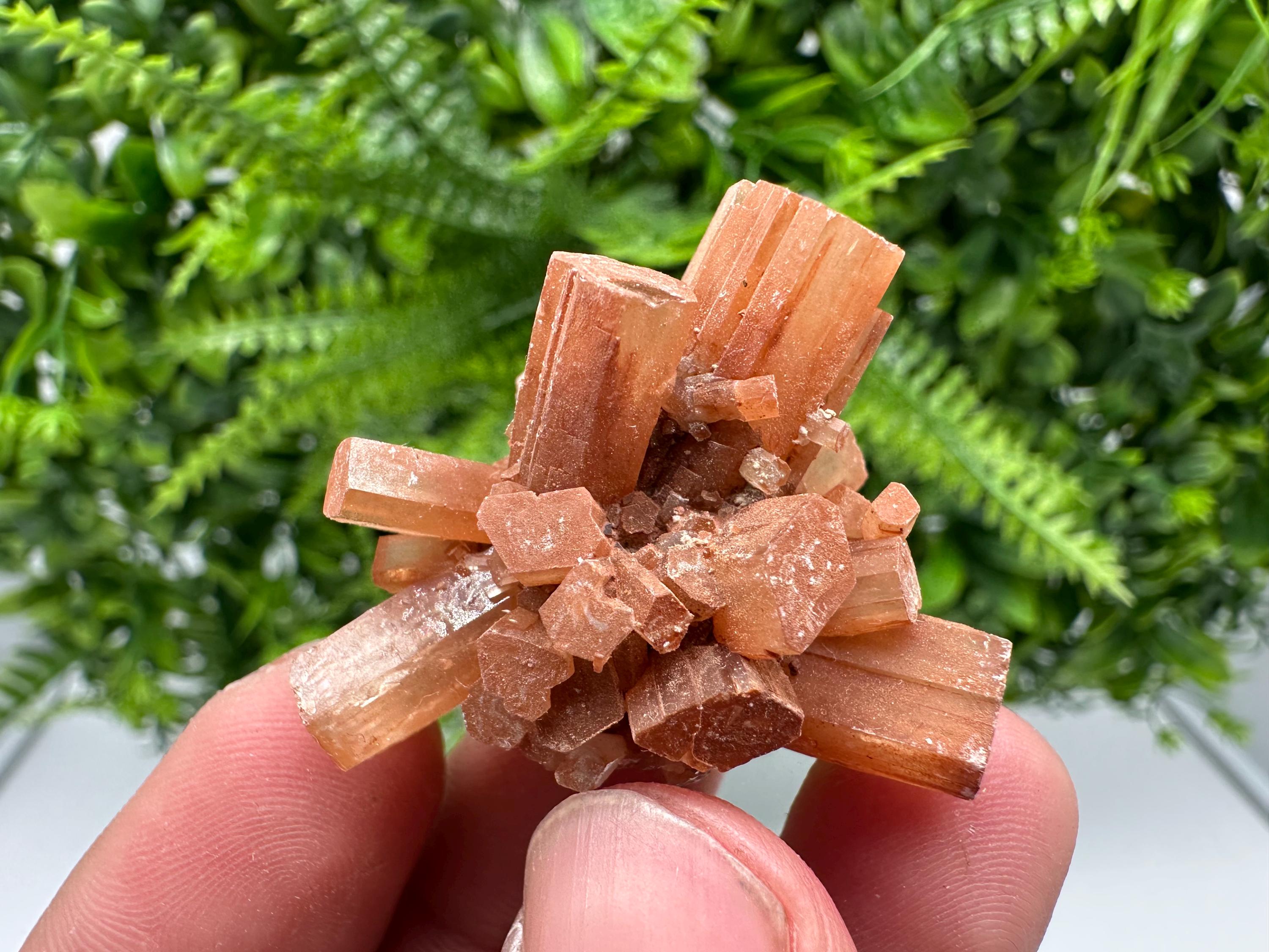 Moroccan Aragonite Sputnik Cluster: Raw Crystal Stone Decor
