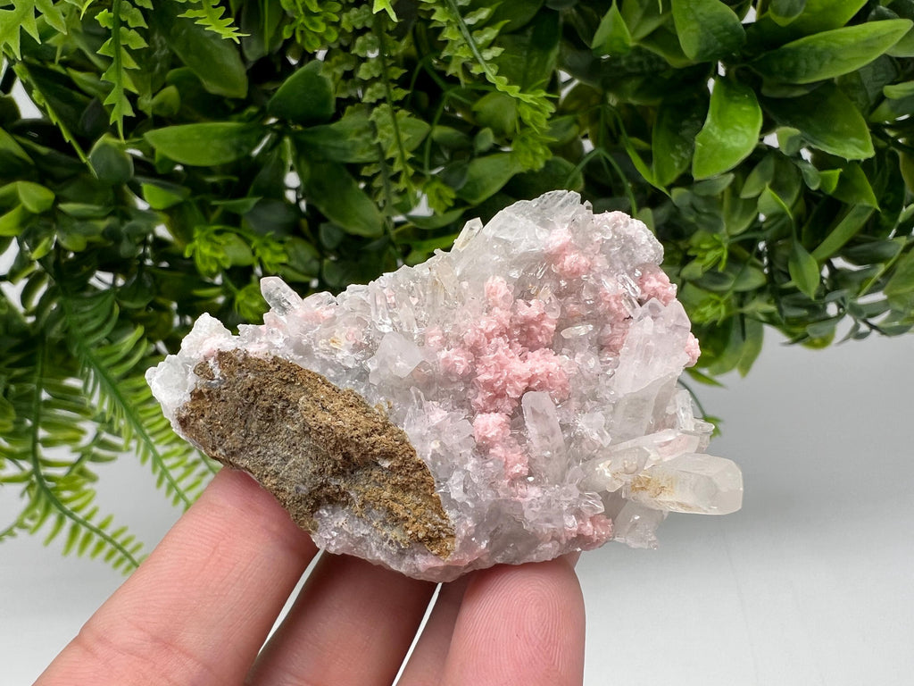 Pink Rhodochrosite Crystal, Starnica Mine Bulgaria
