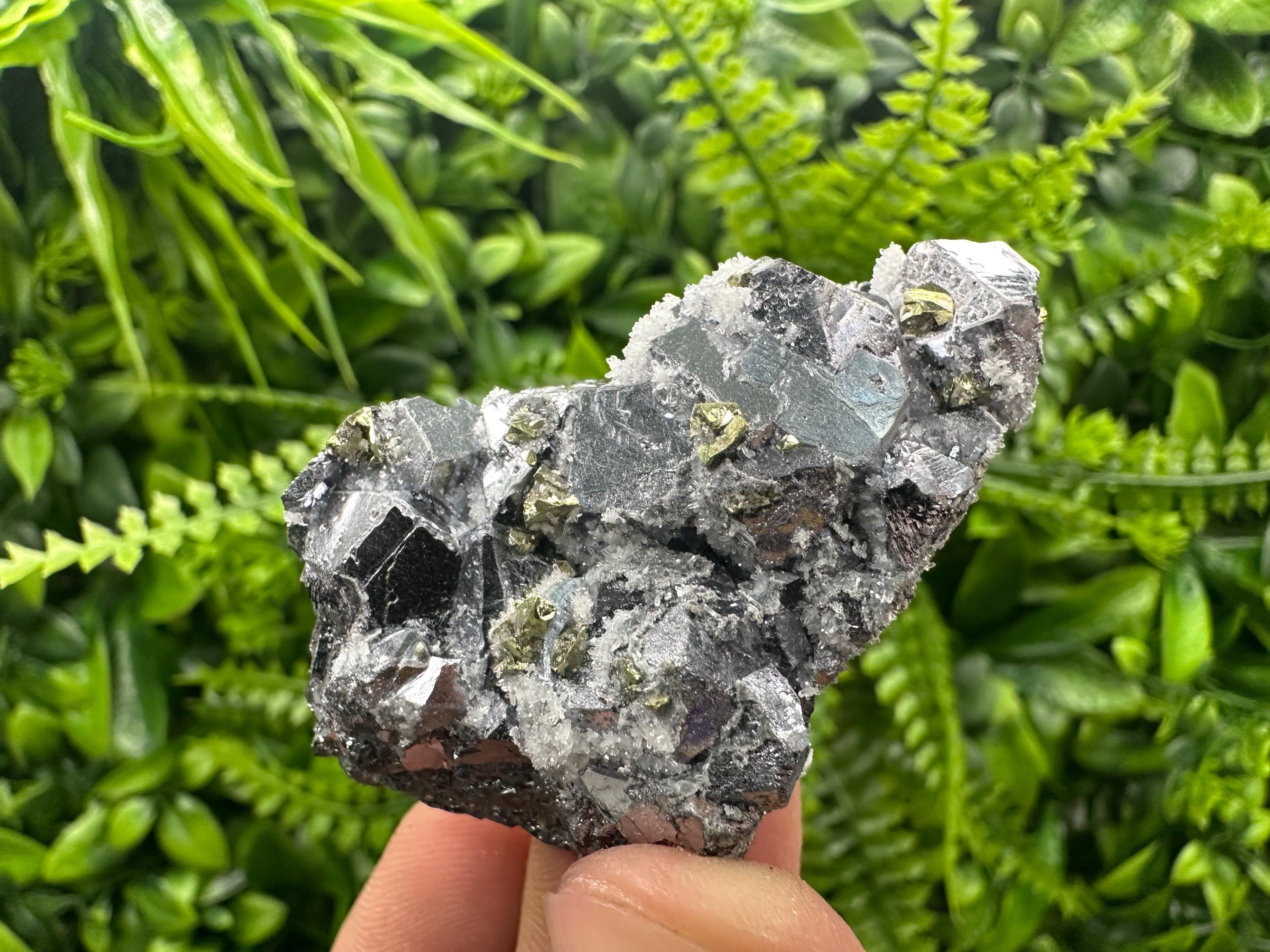 Galena with Chalcopyrite and Quartz, Krushev dol Mineral Specimen