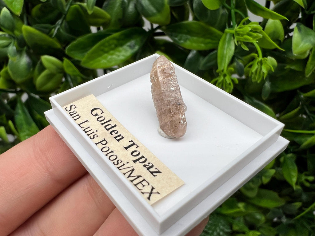 Mexican Golden Topaz Crystal, Mineral Collection Piece, Original