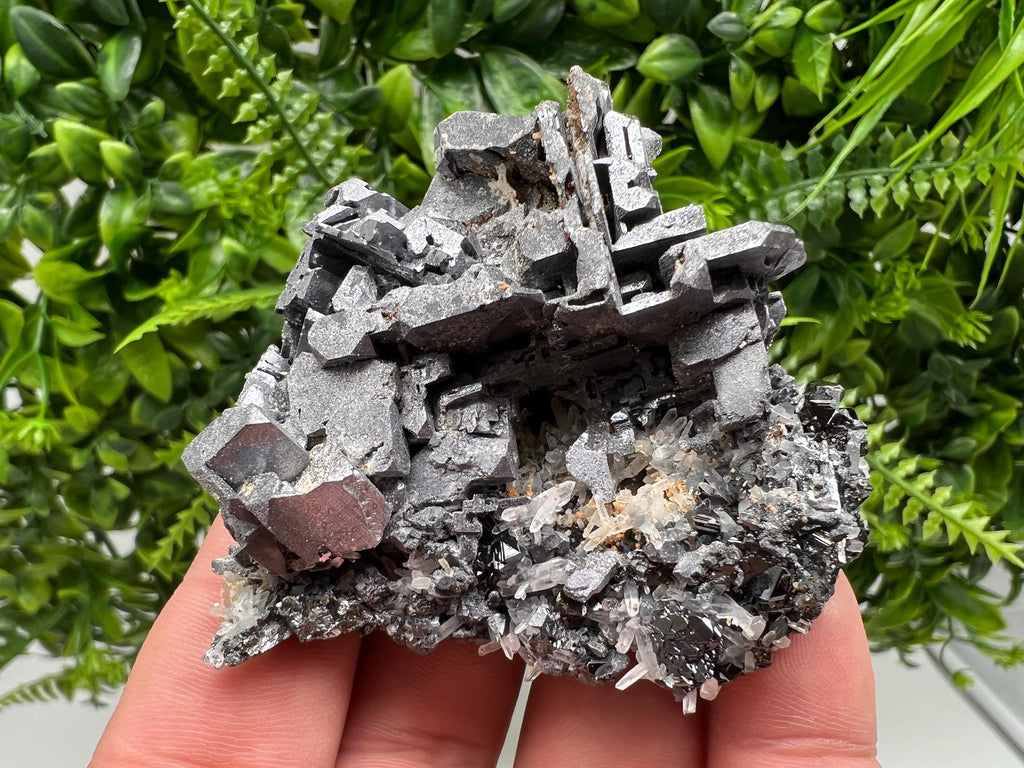 Galena Cluster with Siderite and Quartz: 9th September Mine, Bulgaria