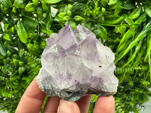 Brazilian Amethyst Crystal Cluster, Purple Quartz Specimen