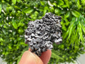 Shiny Galena Cluster: Borieva Mine, Bulgaria - Natural Mineral Stone