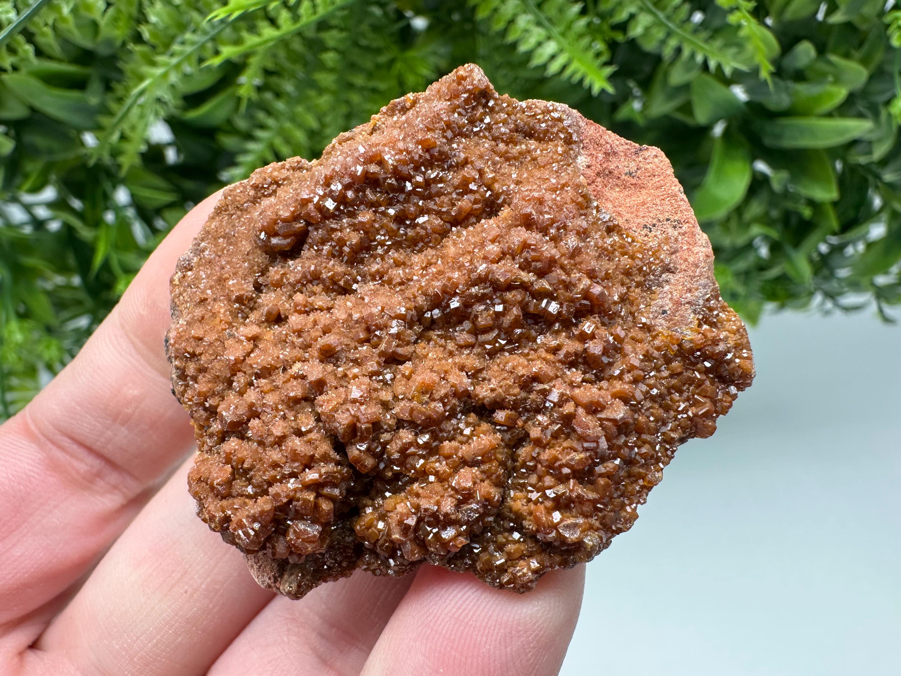 Red Vanadinite on Matrix from Marocco,crystal minerals Speciment cluster Vanadinite crystal Vanadinite Geology Vanadinite cluster minerals