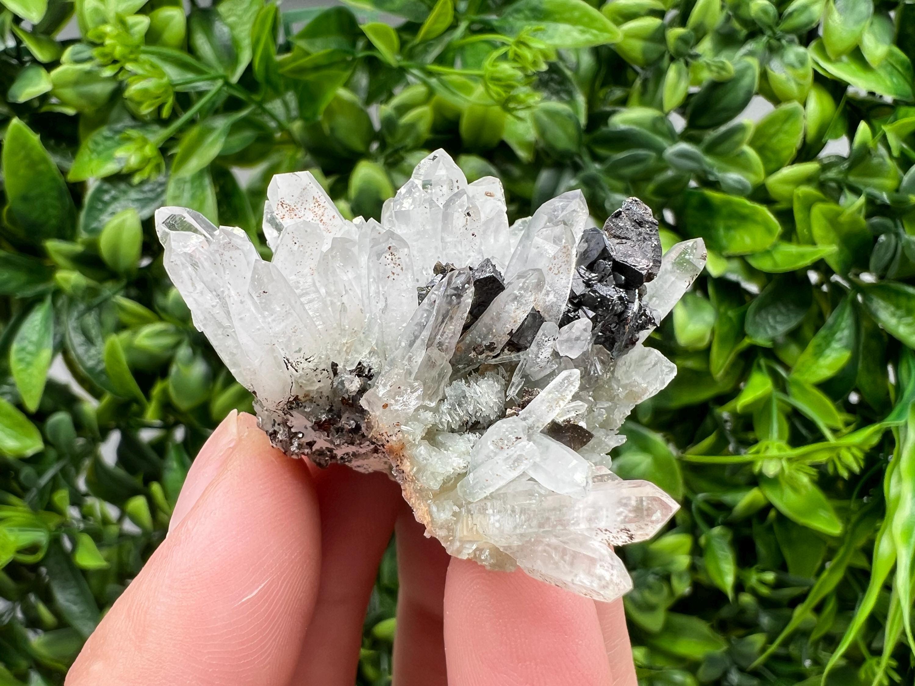 Transparent Quartz,Chlorite,Chalcopyrite Matrix,From Borieva mine,Madan,Bulgaria,Quartz,Quartz crystal,mineral specimen,collection quartz