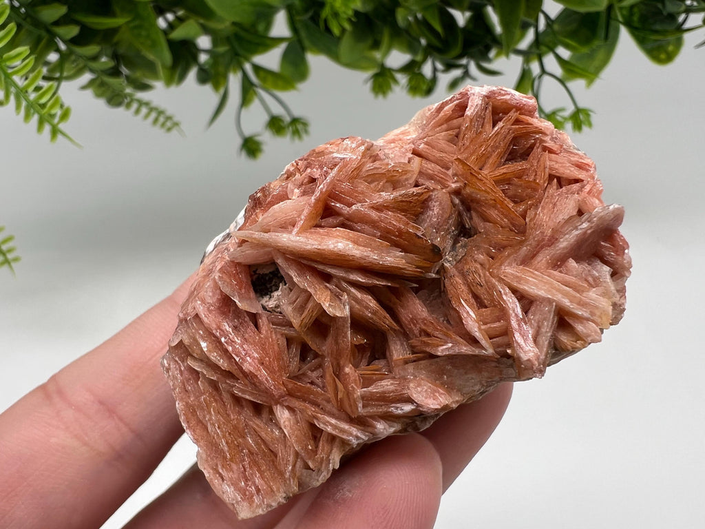 Wonderful Baryte with Cerussite on Galena from Morocco,Crystal, Mineral,Specimen,Cluster,Crystals,Barite Crystal,Cerussite Crystal,Specimen