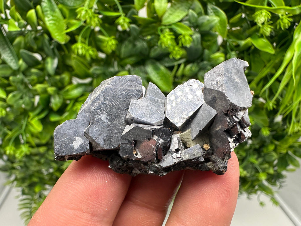 Skeletal Shiny Galena Mineral Crystal: Borieva Bulgaria Home Decor