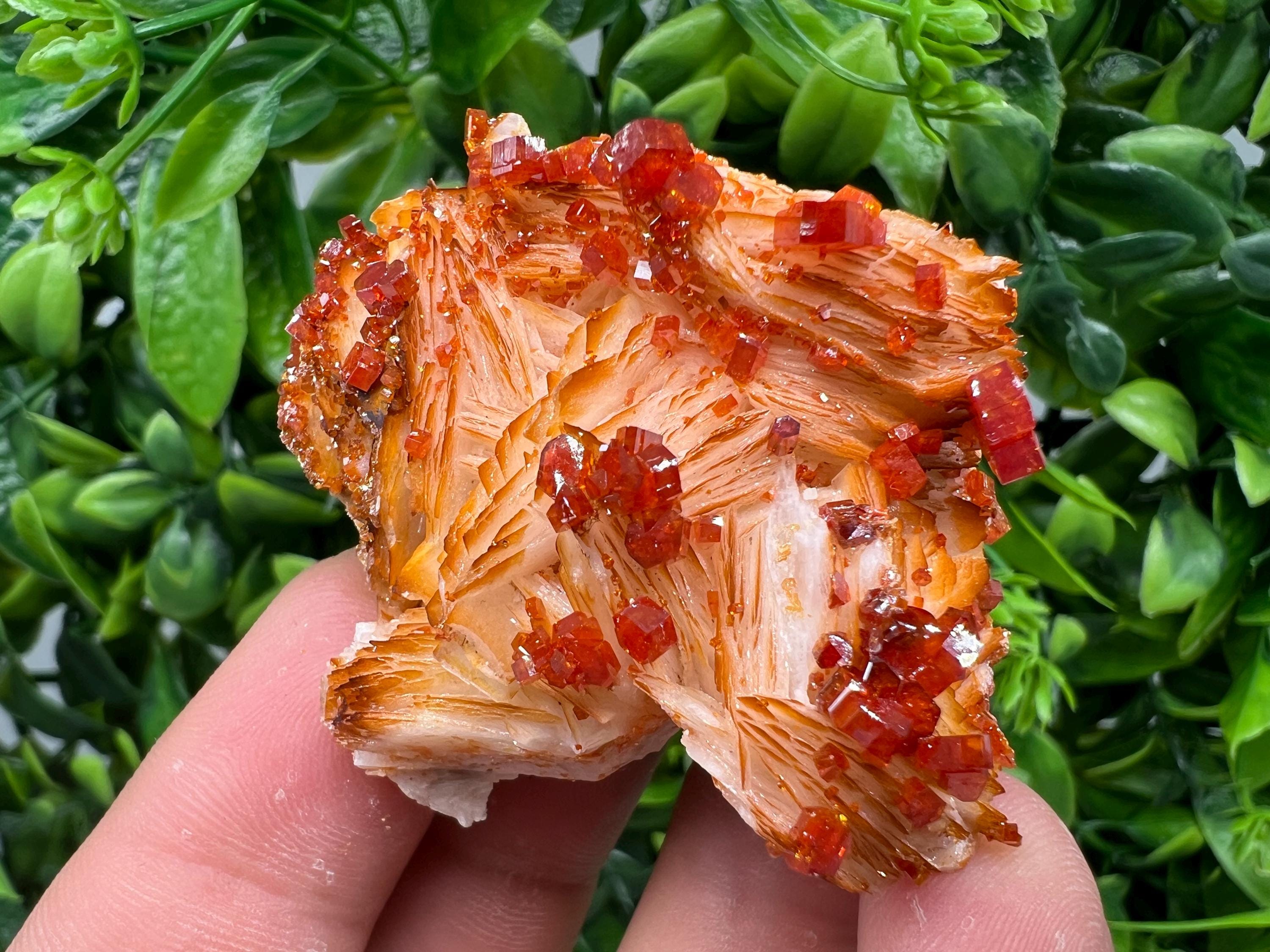 Red Vanadinite on Barite from Marocco,crystal minerals Speciment cluster Vanadinite crystal Vanadinite Geology Vanadinite cluster minerals