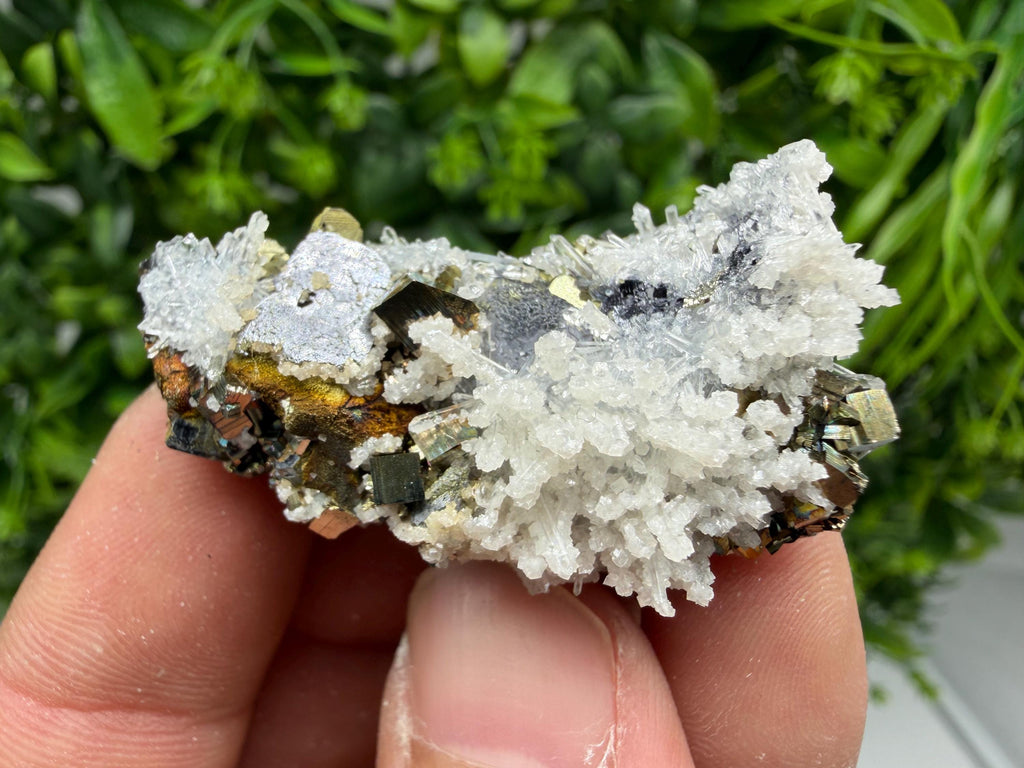 Pyrite Sphalerite Quartz  Mineral Specimen, Krushev dol Mine