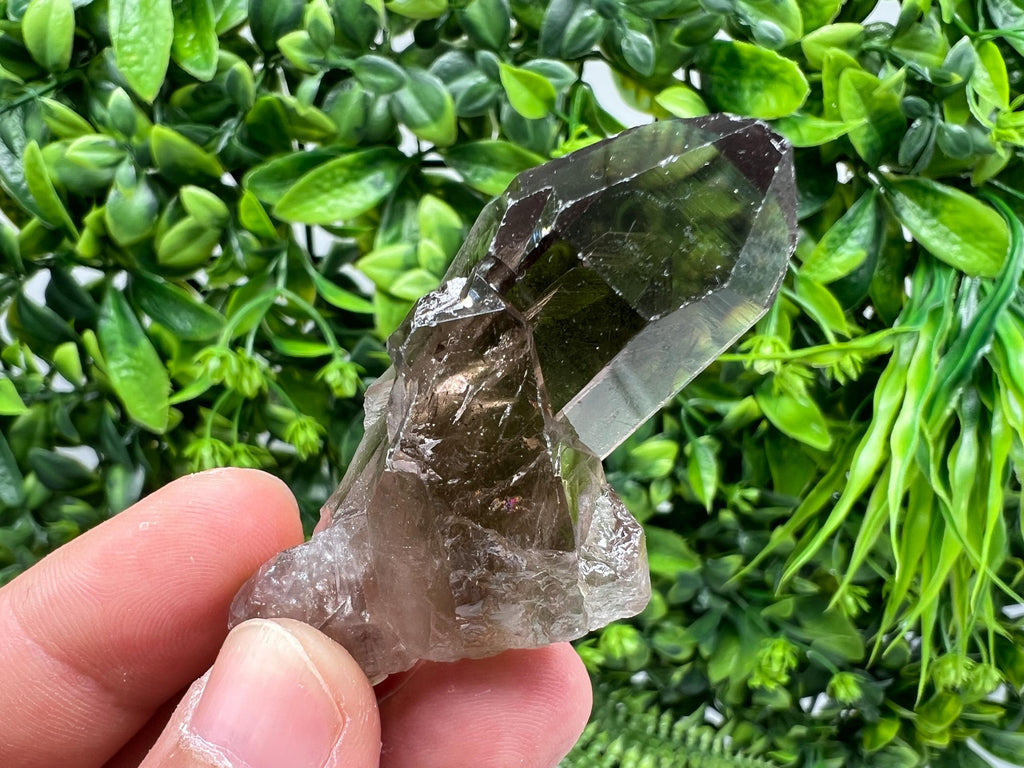Rare Smoky Quartz Crystal Specimen: Brazilian Mineral Collection