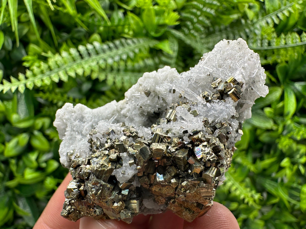 Pyrite on Quartz: Borieva Mine Crystal Home Decor