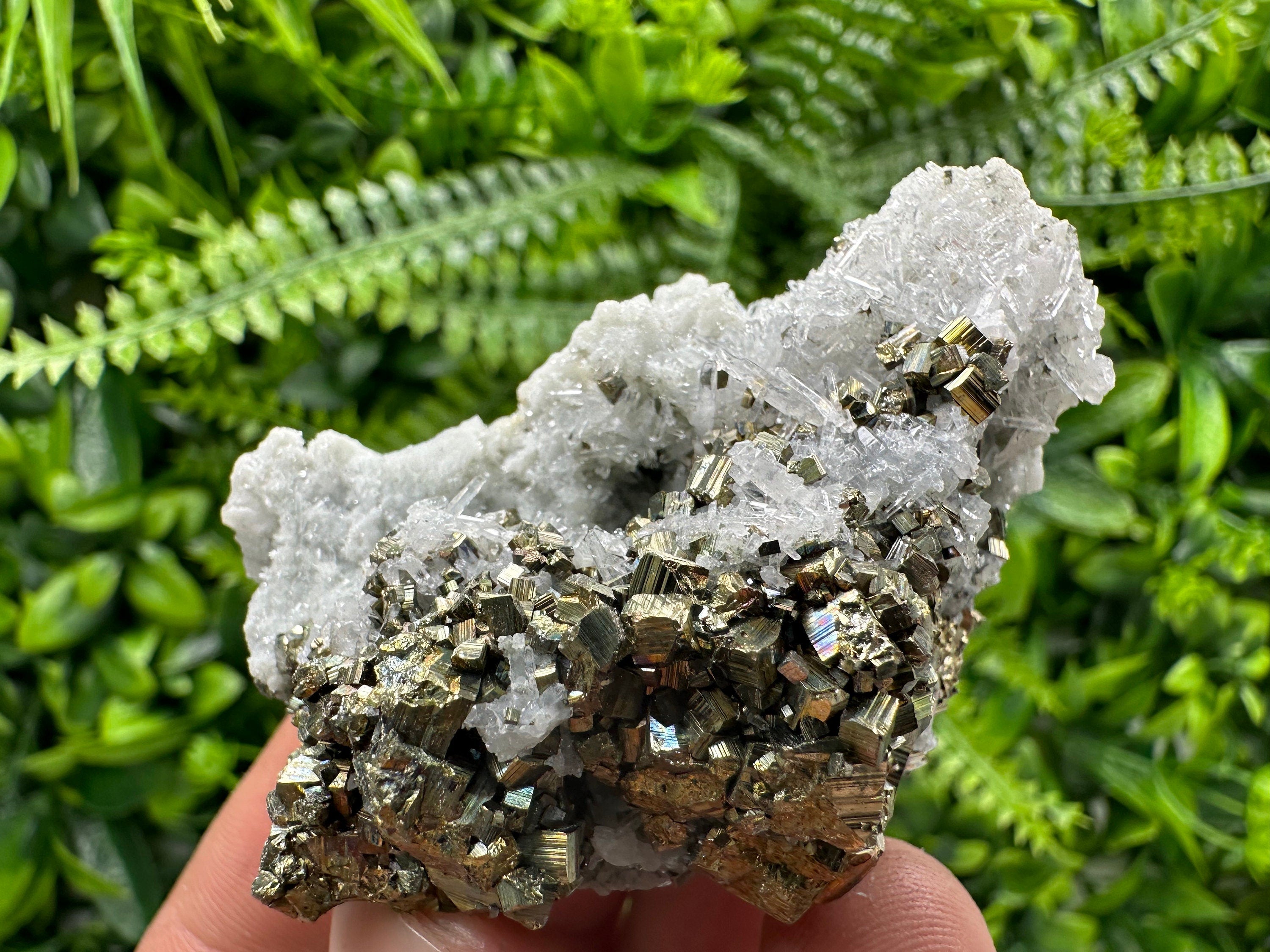 Pyrite on Quartz: Borieva Mine Crystal Home Decor
