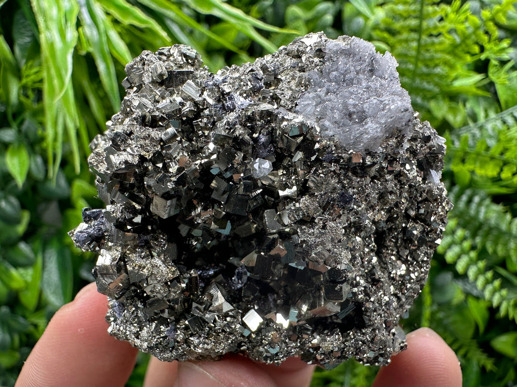 Golden Pyrite Crystal: Borieva Mine, Bulgaria