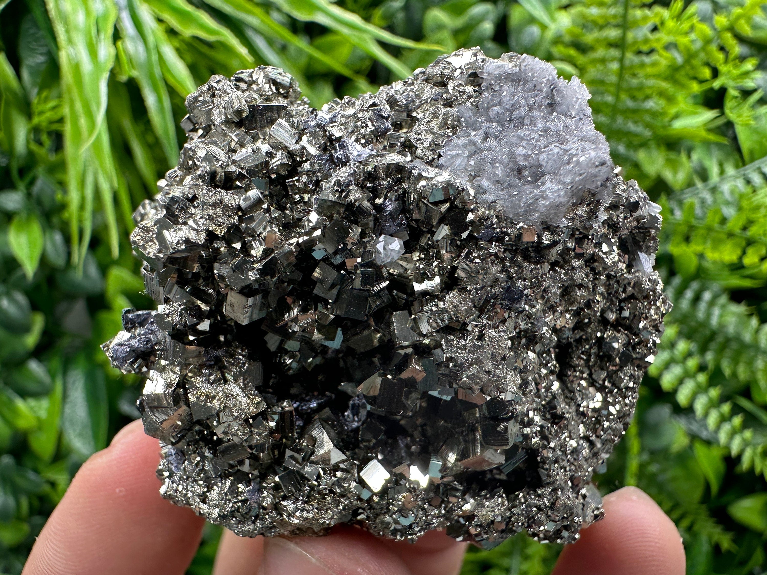 Golden Pyrite Crystal: Borieva Mine, Bulgaria