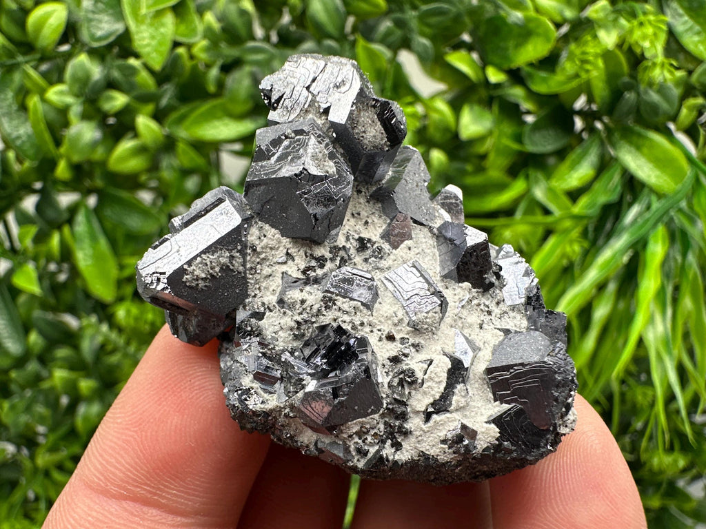 Stunning Shpinel Galena on Sphalerite from Borieva mine,Madan,Bulgaria,Natural,collectible mineral specimen,home decor,collectible’s crystal