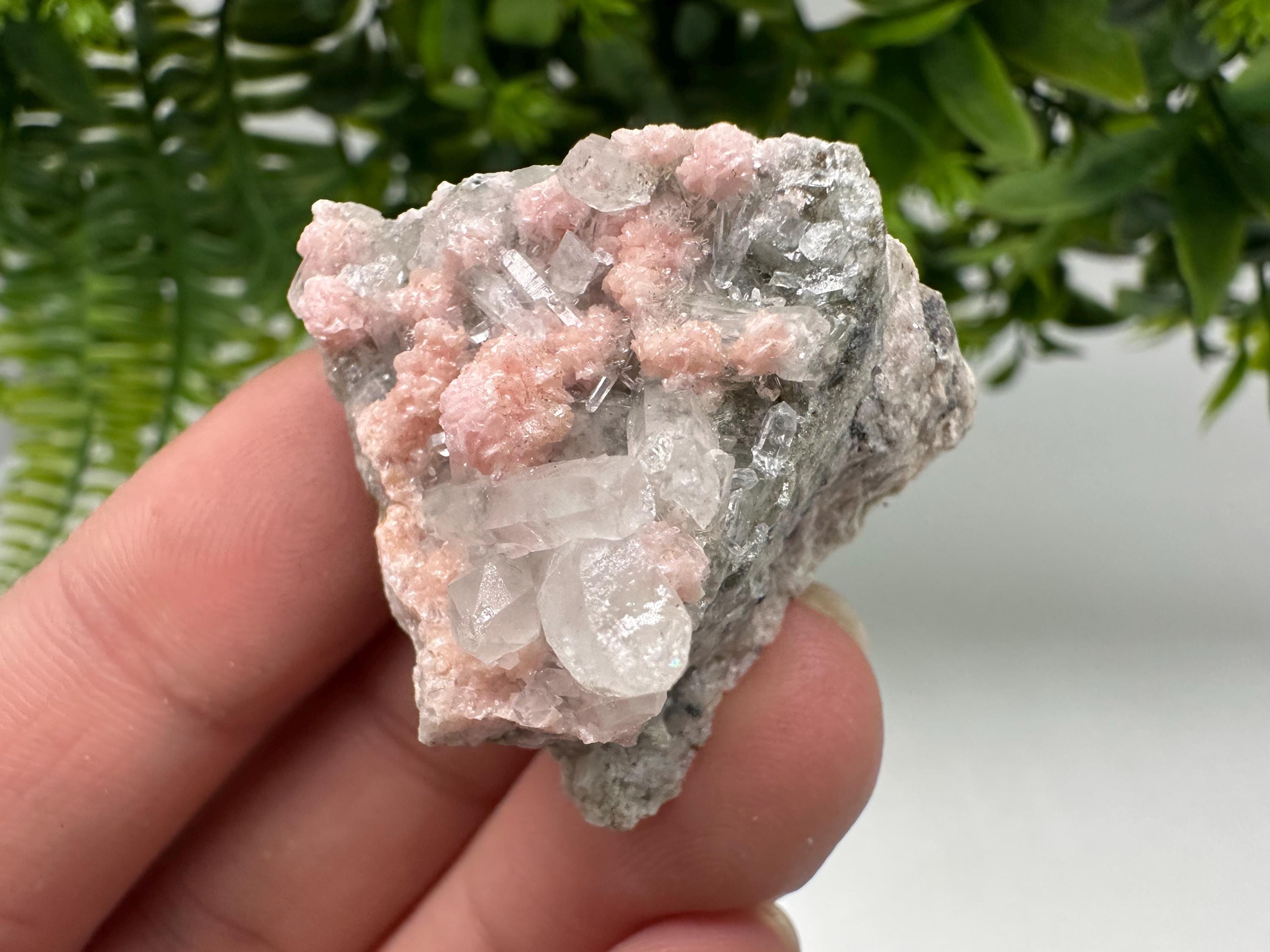 Pink Rhodochrosite Crystal: Starnica Mine, Bulgaria, Home Decor