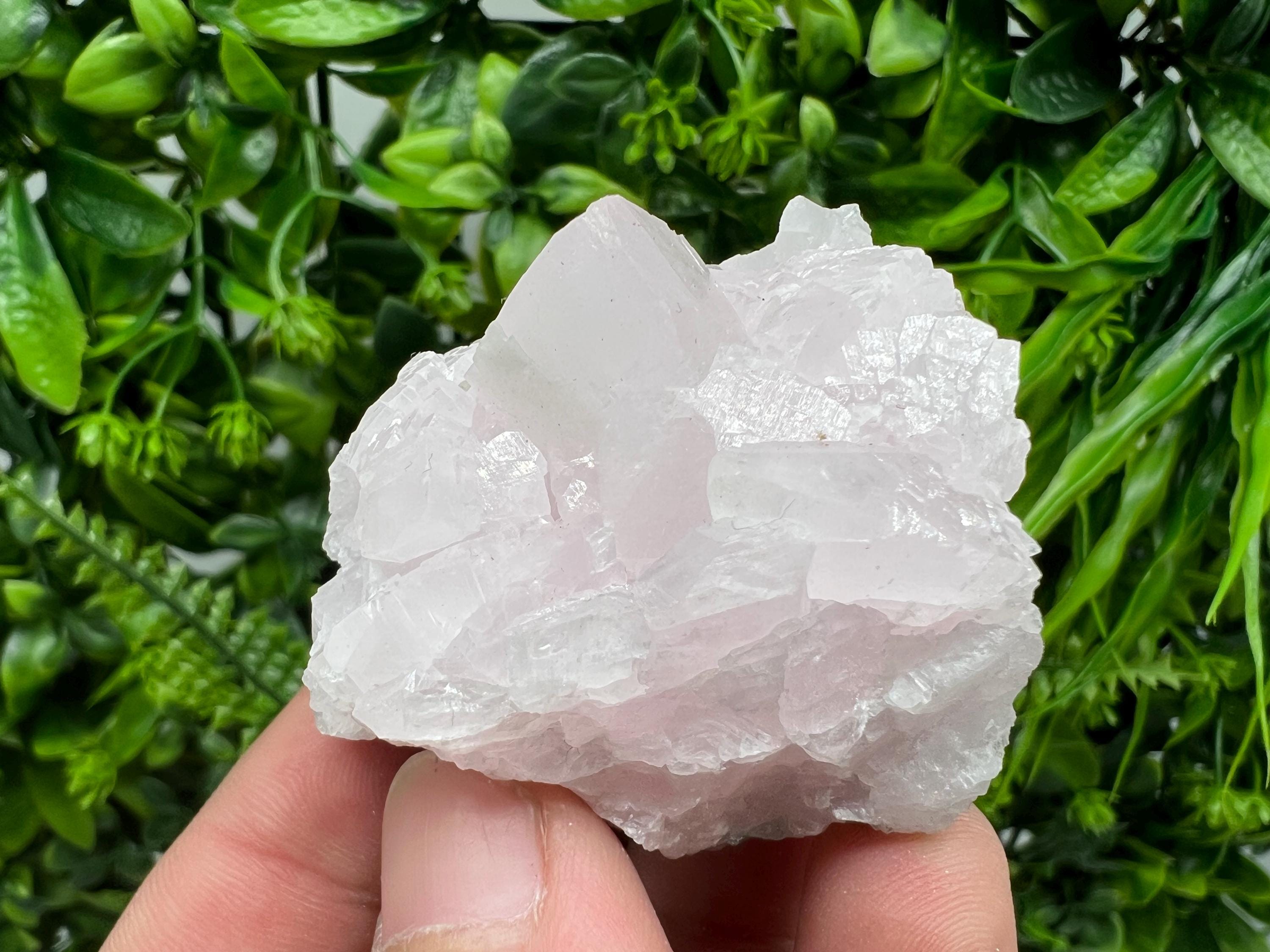 UV Reactive Mangano Calcite Crystal: Androvo Mine, Bulgaria