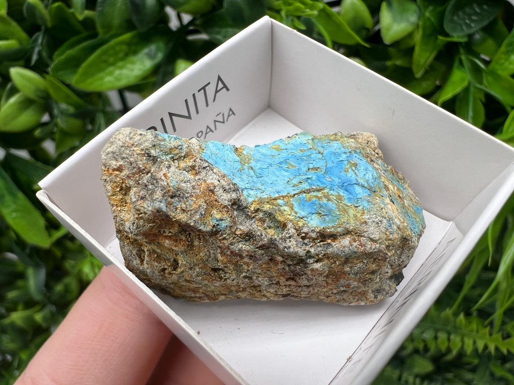 Rare Raw Aerinite Mineral Specimen: Lleida, Spain Crystal Collection