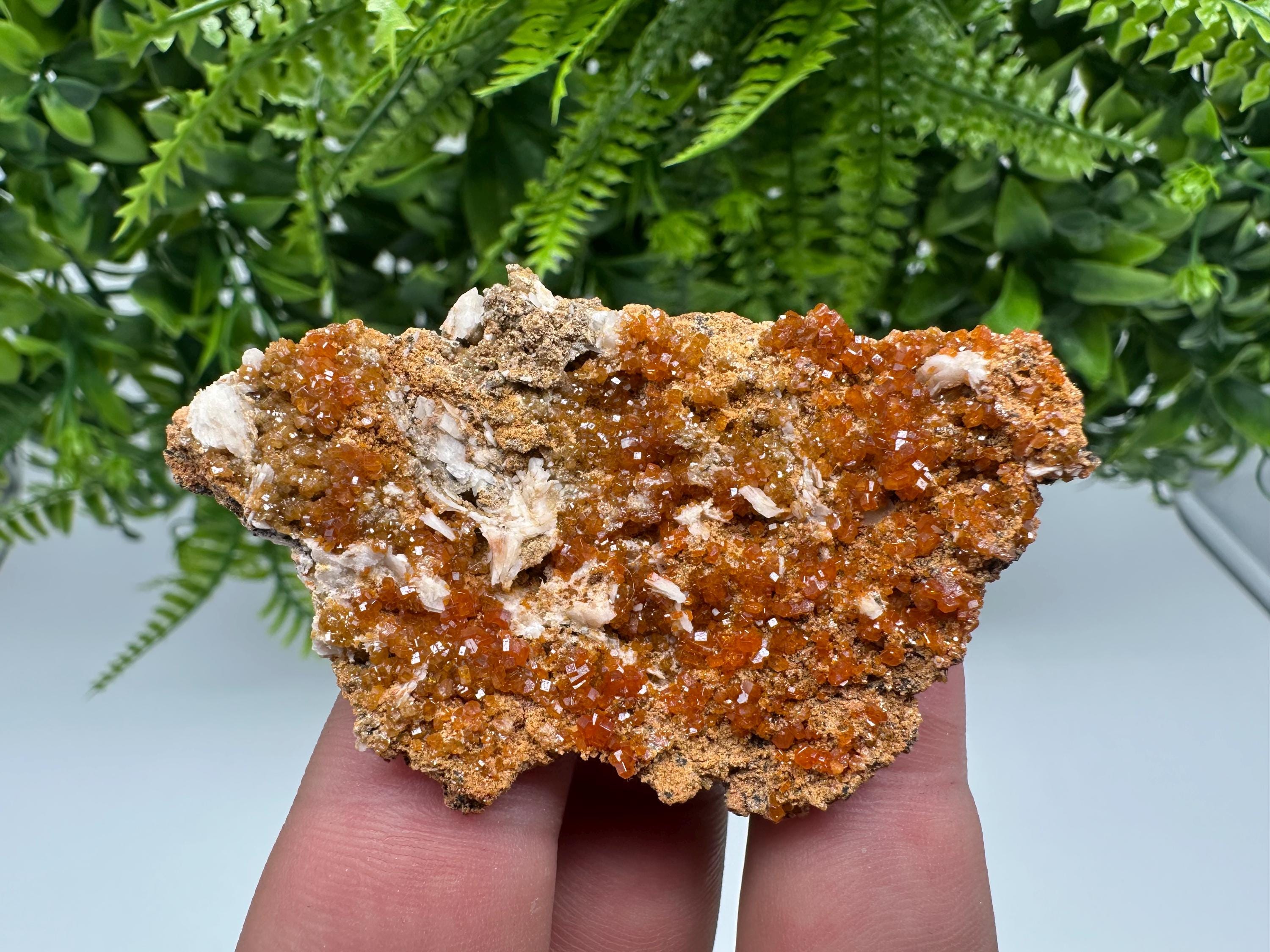 Red Vanadinite on Barite, Morocco Crystal Mineral Specimen
