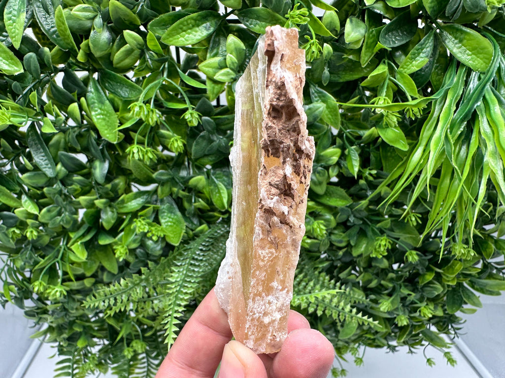 Golden Phantom Selenite Slab: Utah Raw Crystal Wand (2.2/6cm