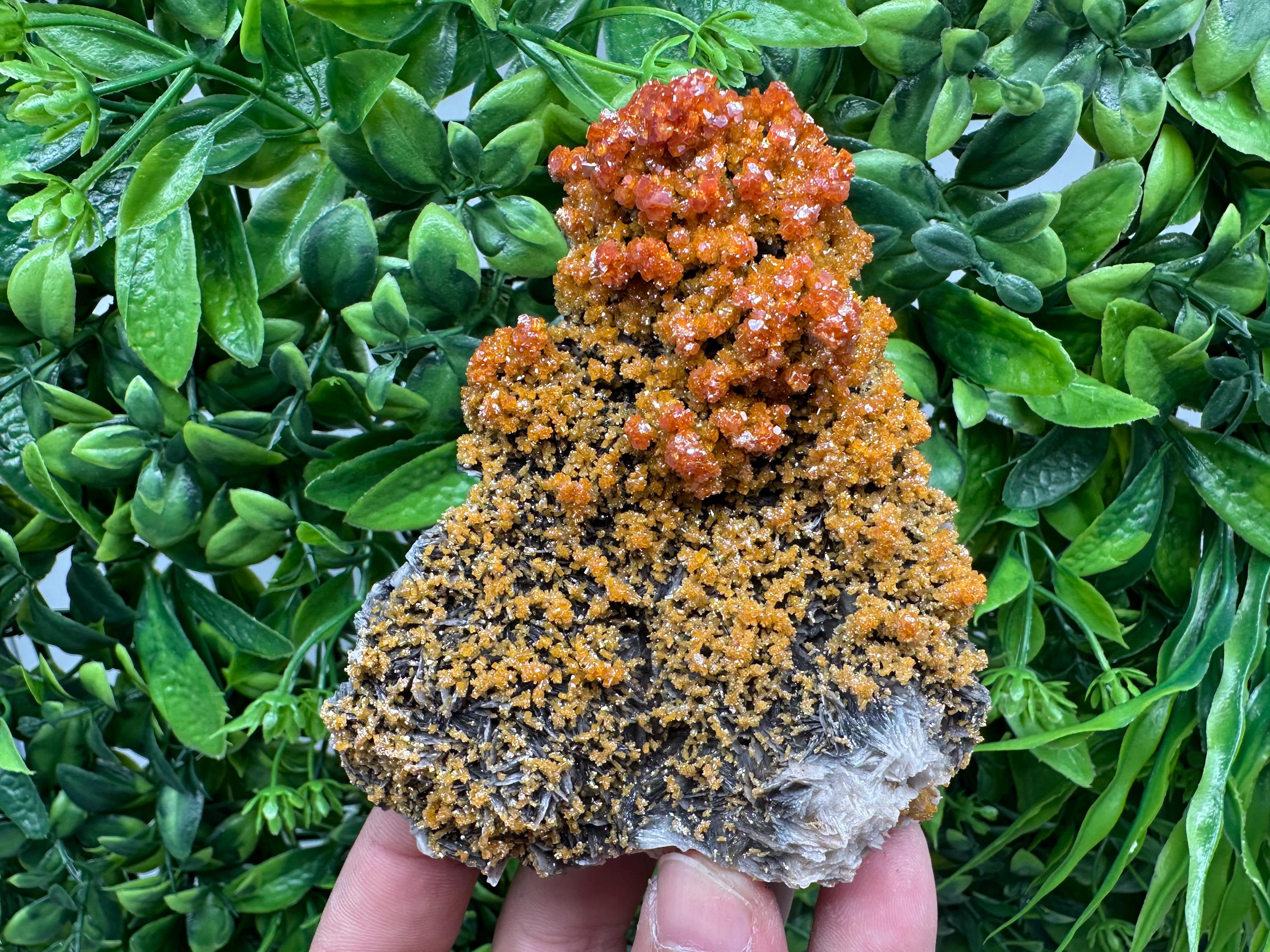 VERY Rare red Vanadinite on Barite whit Goethite from Marocco,crystal minerals Speciment cluster Vanadinite crystal Vanadinite Geology Vanad