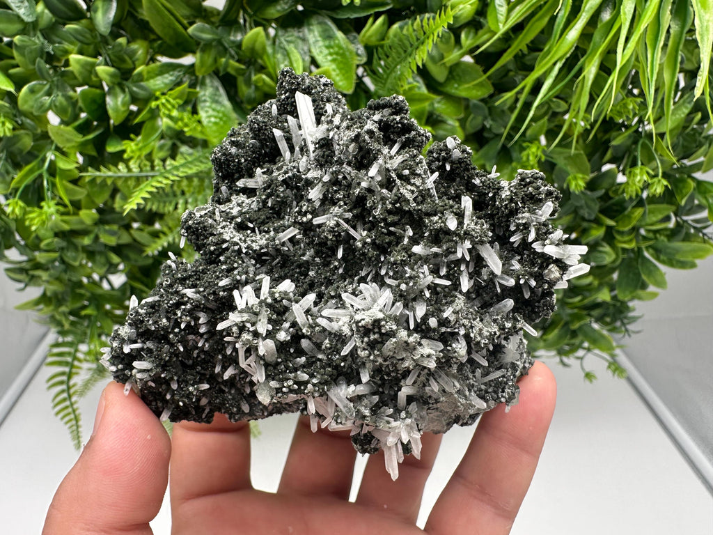 Quartz Crystal with Calcite and Chlorite, Borieva Mine, Bulgaria