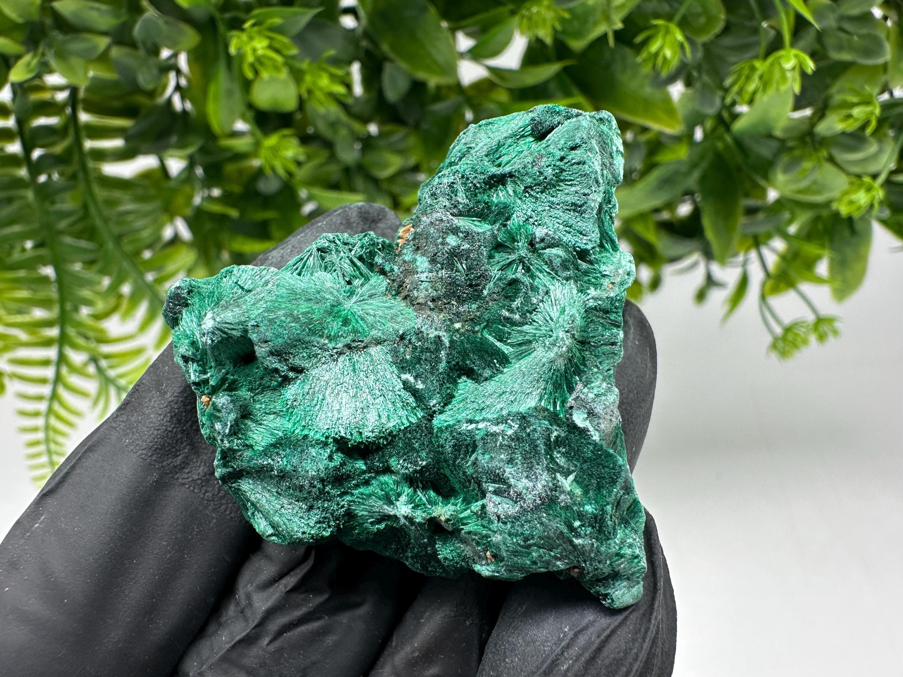 Malachite Crystal from Congo,Minerals,Crystals from Congo,Green Malachite, Malachite,Natural Malachite,Malachite Stone,Chakra, Specimens