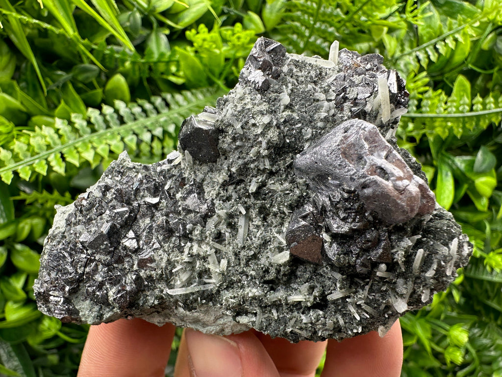 Galena Sphalerite Quartz Mineral Specimen, Borieva Mine Bulgaria