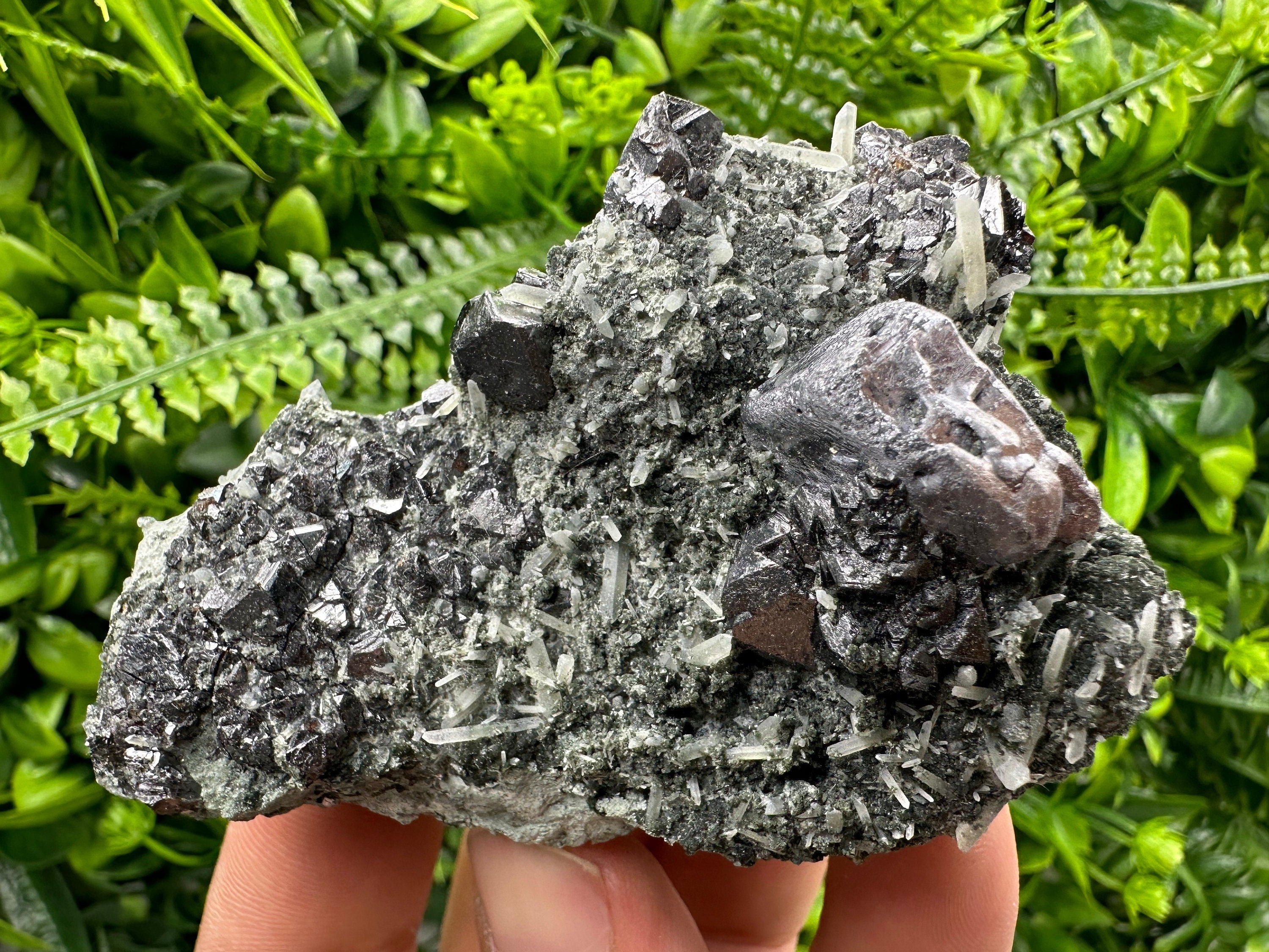 Galena Sphalerite Quartz Mineral Specimen, Borieva Mine Bulgaria